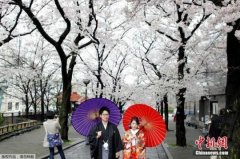 疫情下日本旅游现新形态
