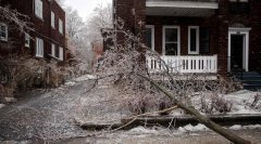 <b>极端暴风雪席卷加拿大：2人死亡 超100万人断电</b>